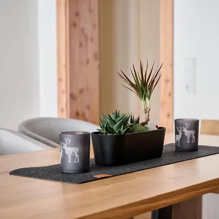 Emma Apartament Eben Im Pongau